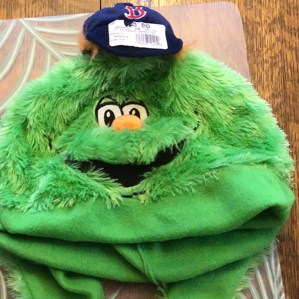 Boston RedSox youth hat. Fenway green Monster brand new. Tag